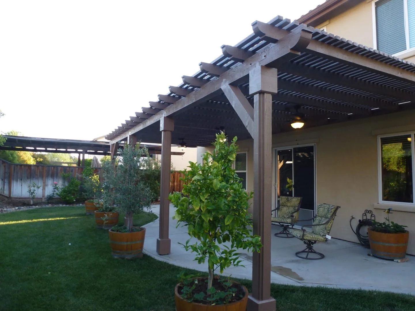Stained lattice patio cover beside a small lawn and potted citrus