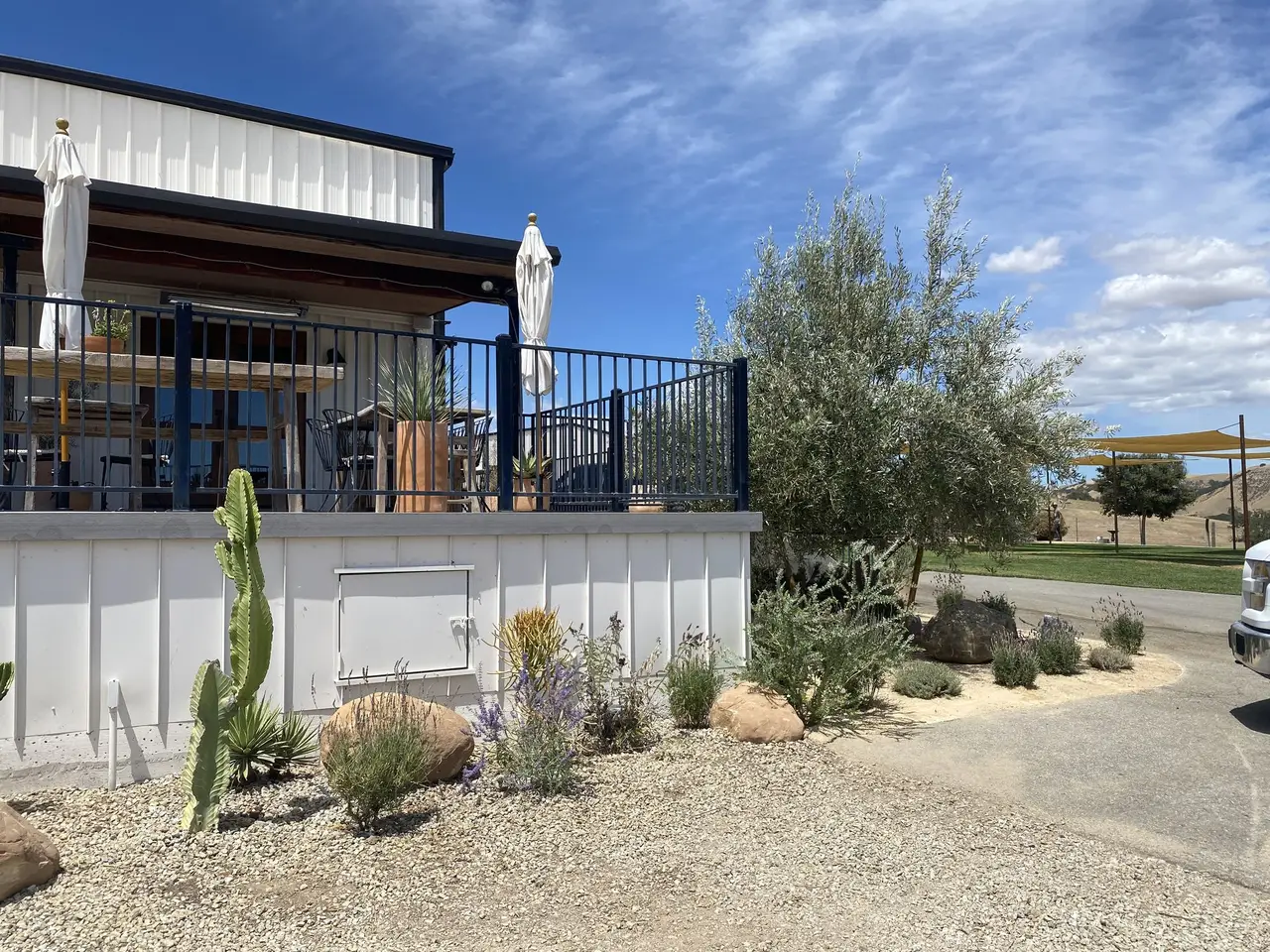 Low-water bed with cactus, boulders and flowering shrubs