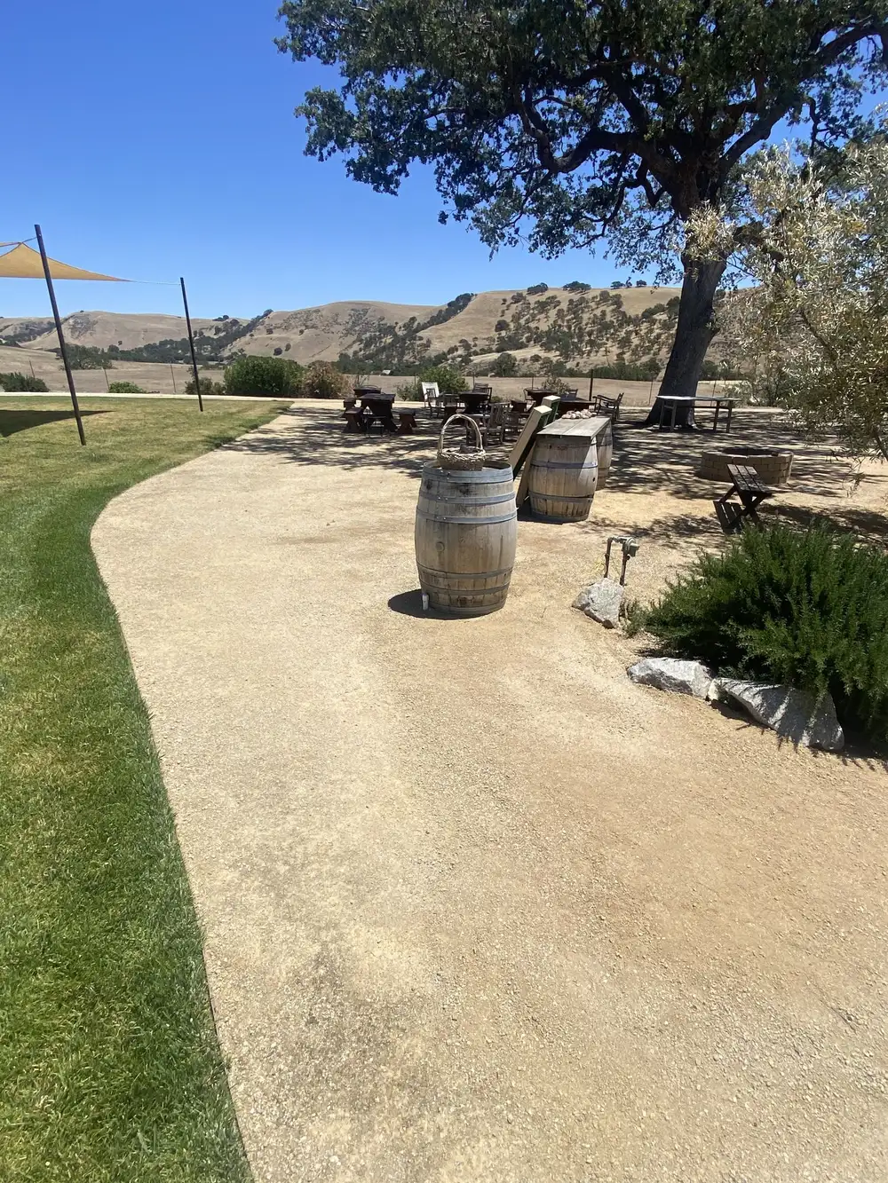 Decomposed granite path beside a small lawn and an oak