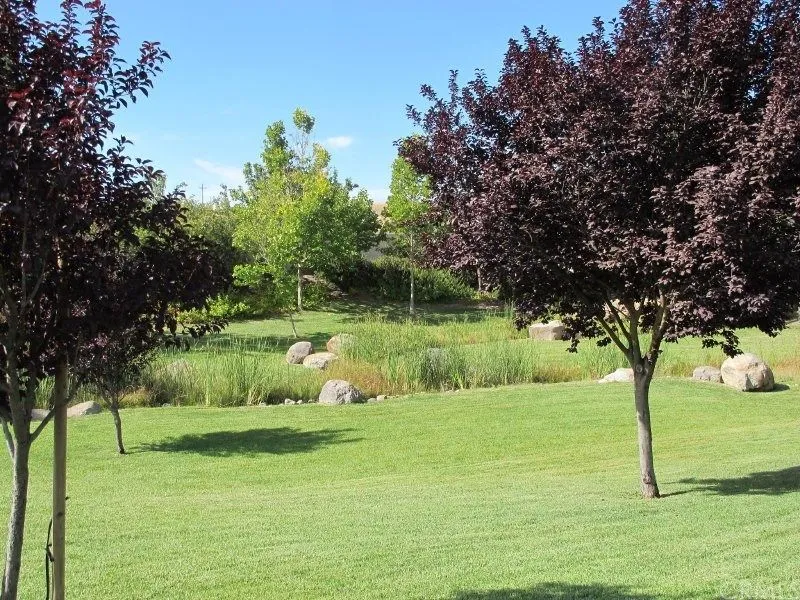 Lawn with purple-leaf plum trees, boulders and ornamental grasses