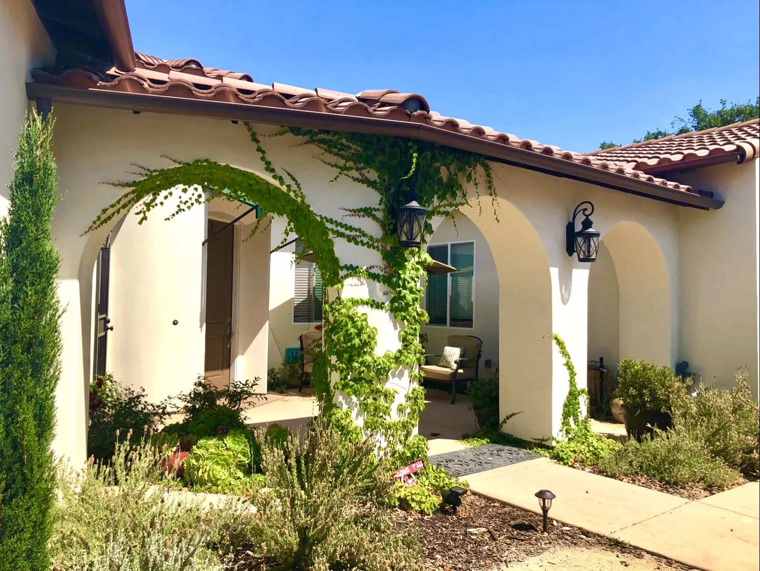 Arched porch with a climbing vine and warm lights