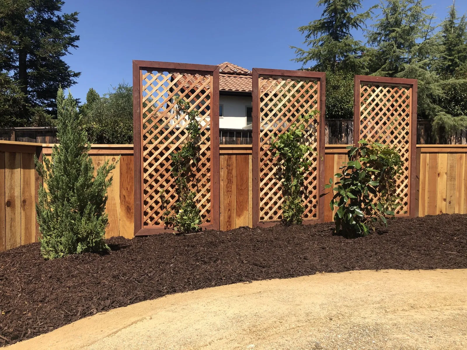 Three redwood lattice privacy screens with young vines above a fresh mulch bed and a smooth graded path