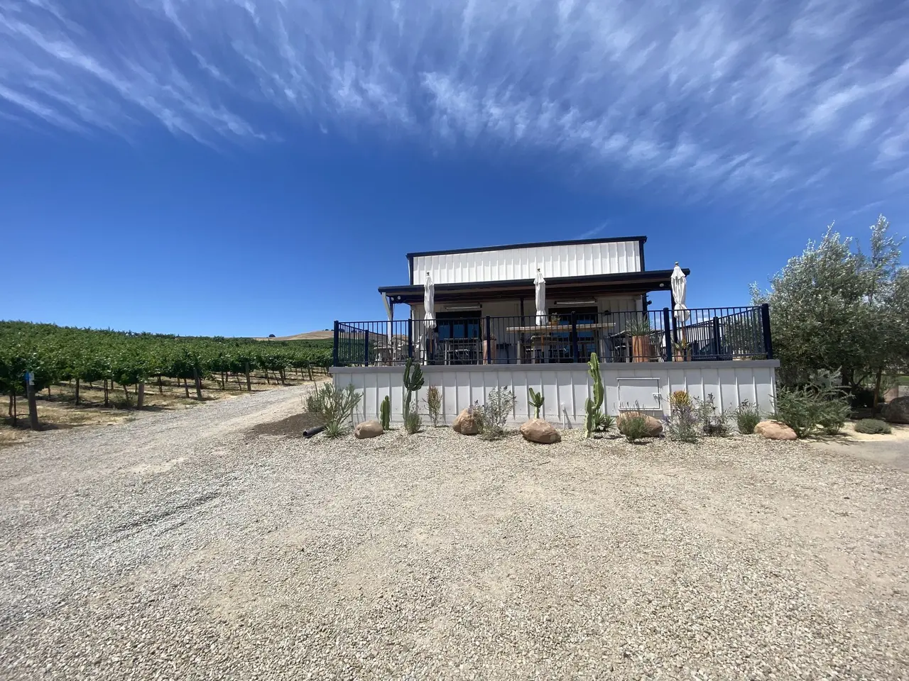 Xeriscape planting in front of a tasting room with a vineyard beyond